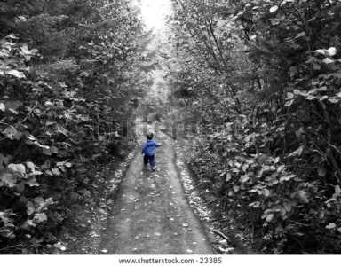 Copie de little-boy-blue-walking-down-600w-23385.webp