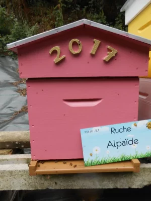 23416-ruche-Alpaide_1_2018-07-26_12-43-23.webp
