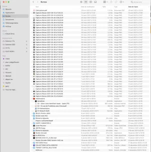 Capture d’écran 2021-04-23 à 10.37.09.png Capture d’écran 2021-04-23 à 10.37.09.png