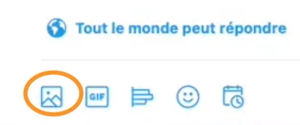 Tweeter.jpg