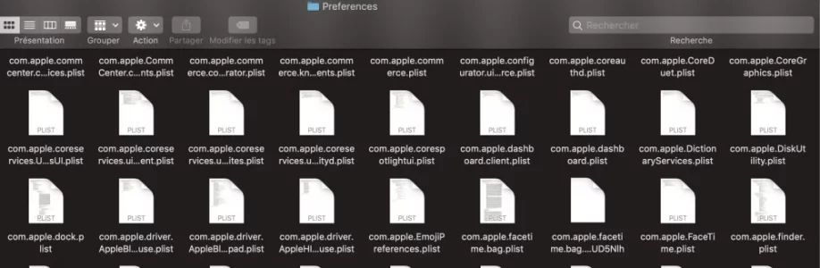 Capture d’écran 2021-04-26 à 07.42.34.webp