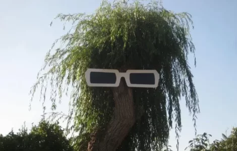 Capture d’écran 2021-04-29 à 08.55.22.webp