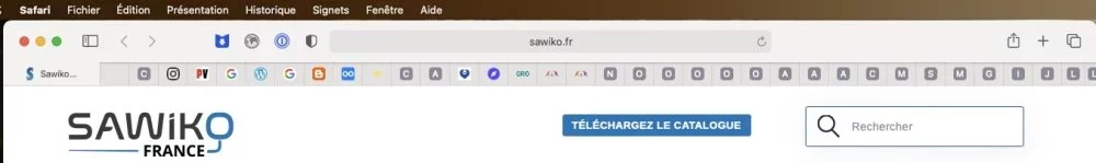 Capture d’écran 2021-05-01 à 10.03.49.webp