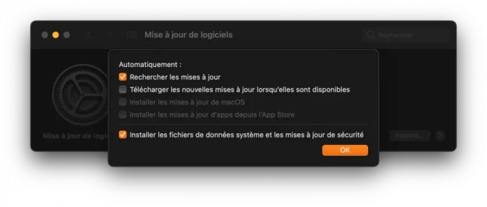 Capture d’écran 2021-05-13 à 17.04.57.webp Capture d’écran 2021-05-13 à 17.04.57.webp