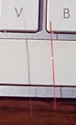 image.webp