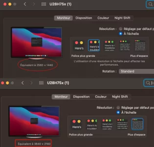 screen.webp