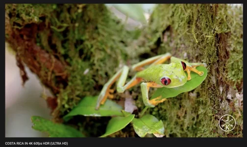 Capture-000.webp
