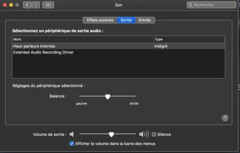 Capture d’écran 2021-06-15 à 15.06.19.webp