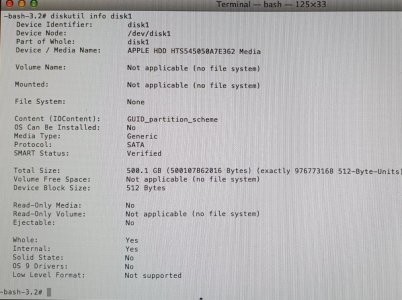 diskutil info disk1.jpg
