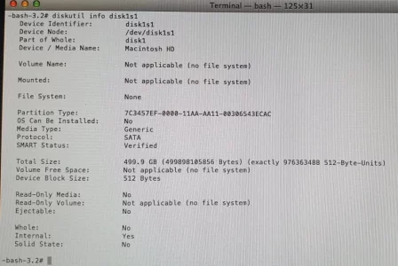 diskutil info disk1s1.jpg