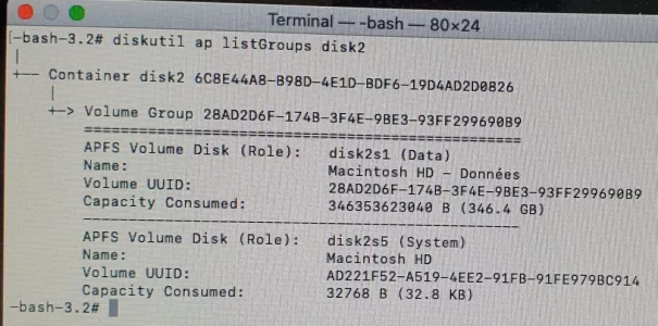diskutil ap listGroups disk2.webp diskutil ap listGroups disk2.webp