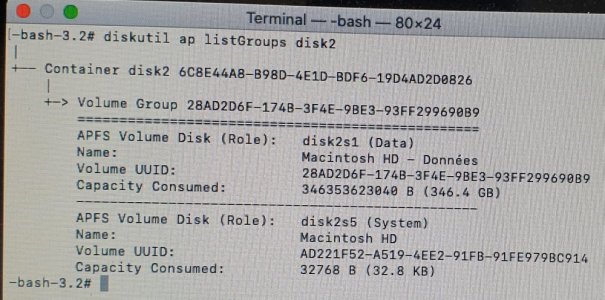 diskutil ap listGroups disk2.jpg