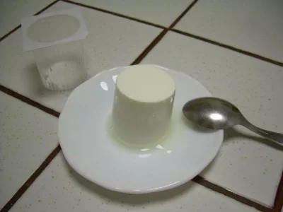 205588167_4666359933393744_7151513732499603555_n.webp