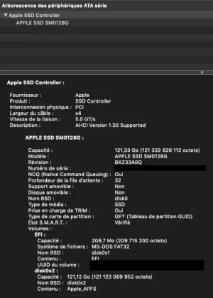 4.webp