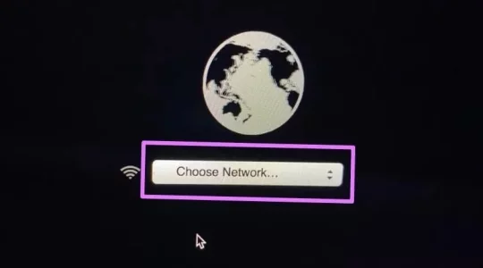 choosenetwork.webp