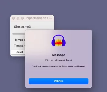 message d'erreur Audacity import mp3 impossible.webp message d'erreur Audacity import mp3 impossible.webp