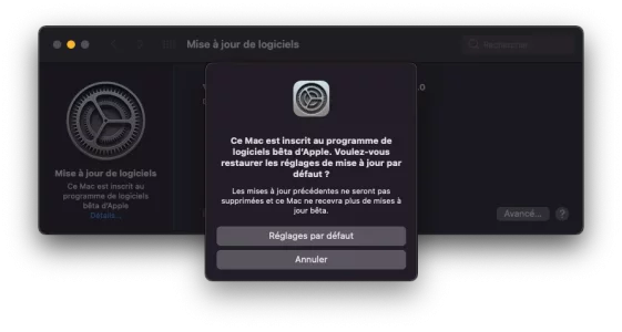 Capture d’écran 2021-08-03 à 15.39.46.png