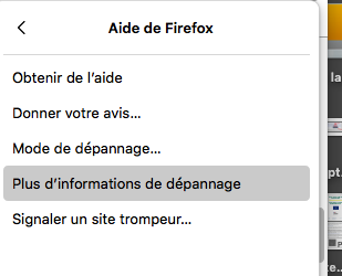 Capture d’écran 2021-08-15 à 09.50.02.png