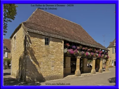 Copie de Halles_de_Dome_a_Domme_24250_Dordogne_region_Nouvelle-Aquitaine_en_France.webp