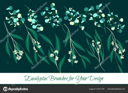 1629876500904.webp