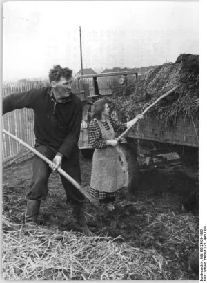 Bundesarchiv_Bild_183-24329-1963,_Nordhausen,_Neubauern_bei_der_Arbeit.webp
