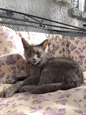 IMG_4667.webp IMG_4667.webp