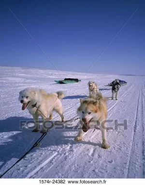 Copie de 1574r-24382.webp