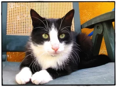 IMG_1472.jpg IMG_1472.jpg