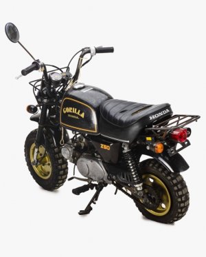 Copie de Honda-Gorilla-zwart-goud-24449-PTX_4905-scaled.jpg