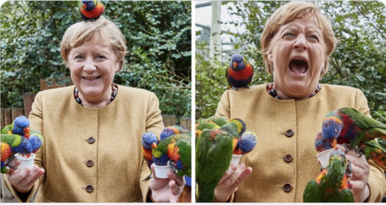 Merkel Süddeutsche Zeitung.png