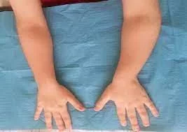 1633087727073.webp