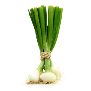 oignon_000.webp