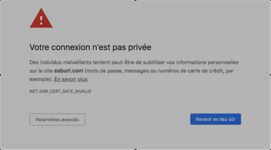 Google Chrome.webp