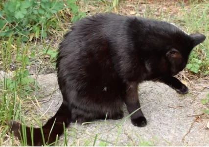 Capture d’écran 2021-10-13 à 10.28.46.webp