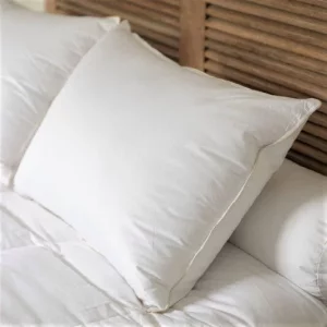 oreiller-duvet-neuf.webp