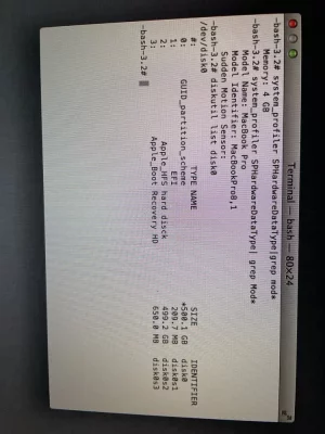 image.webp