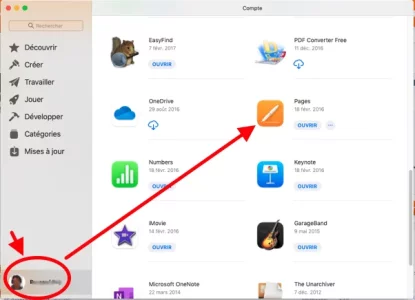 Capture d’écran 1.png