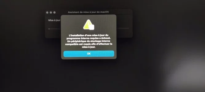 Capture.webp