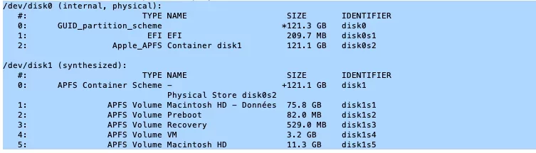 diskutil list internal 01112021.webp