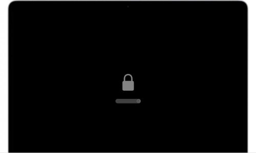 macos-big-sur-startup-screen-lock-icon-firmware-password.jpg