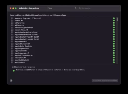 Capture-002.webp