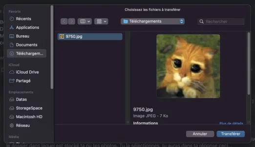 Capture-003.jpg