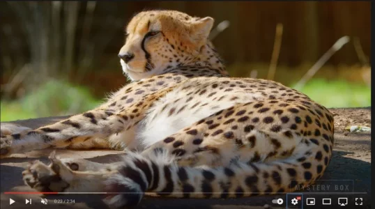 Capture d’écran 2021-11-22 à 14.33.43.jpg Capture d’écran 2021-11-22 à 14.33.43.jpg