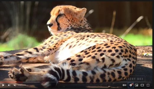 Capture d’écran 2021-11-22 à 14.34.03.jpg Capture d’écran 2021-11-22 à 14.34.03.jpg