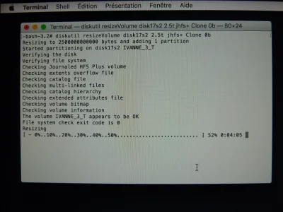 terminal_resizing.webp