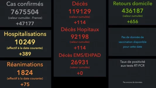 Sans titre-1.jpg