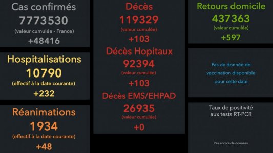 Sans titre-1.jpg
