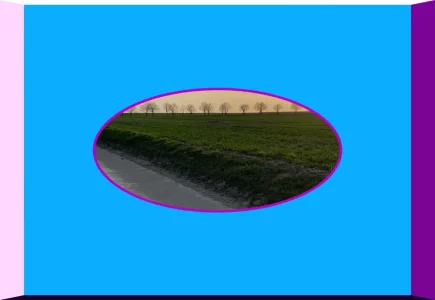 essai.webp