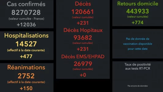 Sans titre-1.jpg