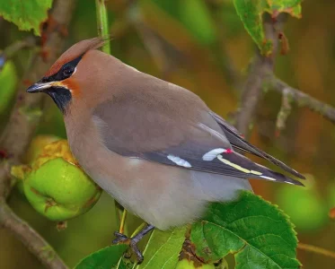 Capture d’écran 2021-12-17 à 09.21.30.webp